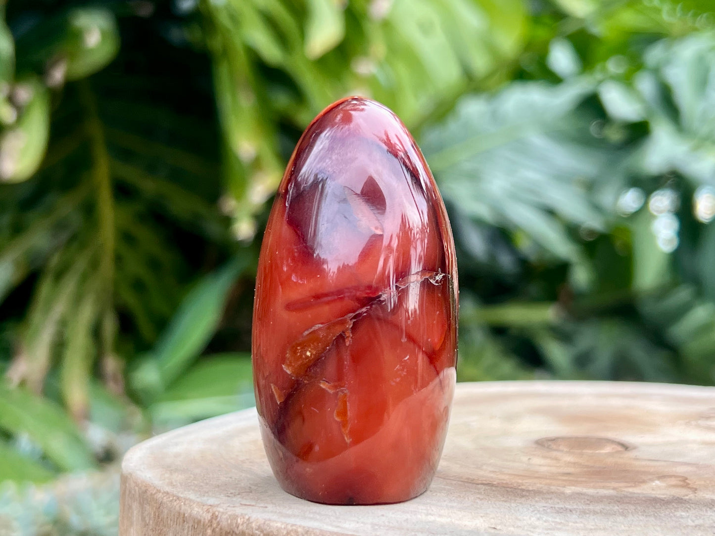 Carnelian freeform with rich orange and red swirls, polished to a glossy finish, radiating warmth, vitality, and creative energy