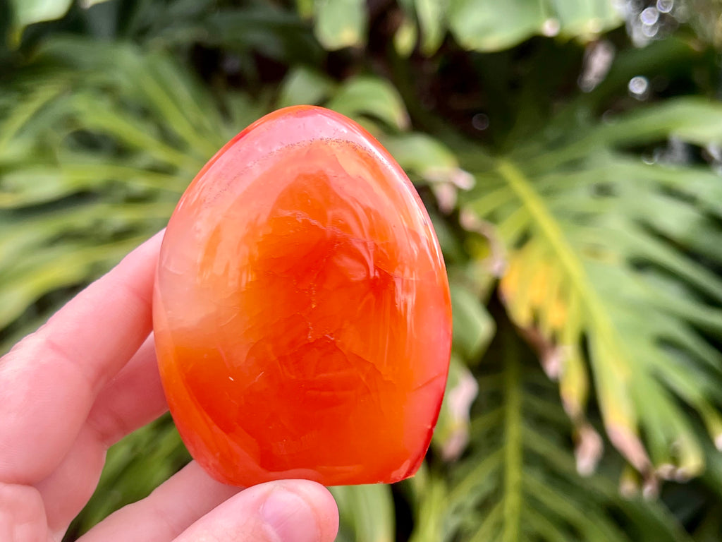 Carnelian freeform with rich orange and red swirls, polished to a glossy finish, radiating warmth, vitality, and creative energy. This photo is me holding the freeform to show the size 