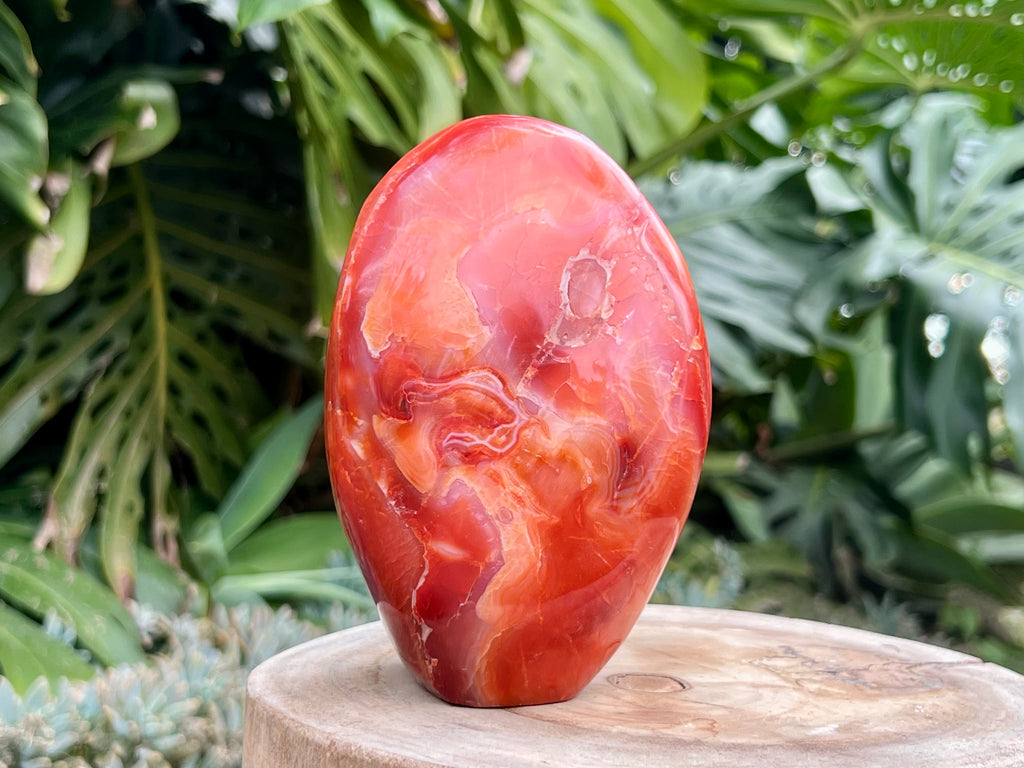 Carnelian freeform with rich orange and red swirls, polished to a glossy finish, radiating warmth, vitality, and creative energy