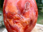 Carnelian freeform with rich orange and red swirls, polished to a glossy finish, radiating warmth, vitality, and creative energy. This is a close up of the detail in the crystal 