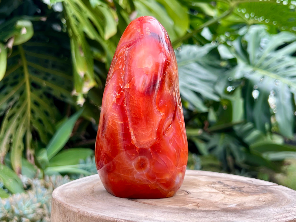 Carnelian freeform with rich orange and red swirls, polished to a glossy finish, radiating warmth, vitality, and creative energy