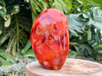 Carnelian freeform with rich orange and red swirls, polished to a glossy finish, radiating warmth, vitality, and creative energy
