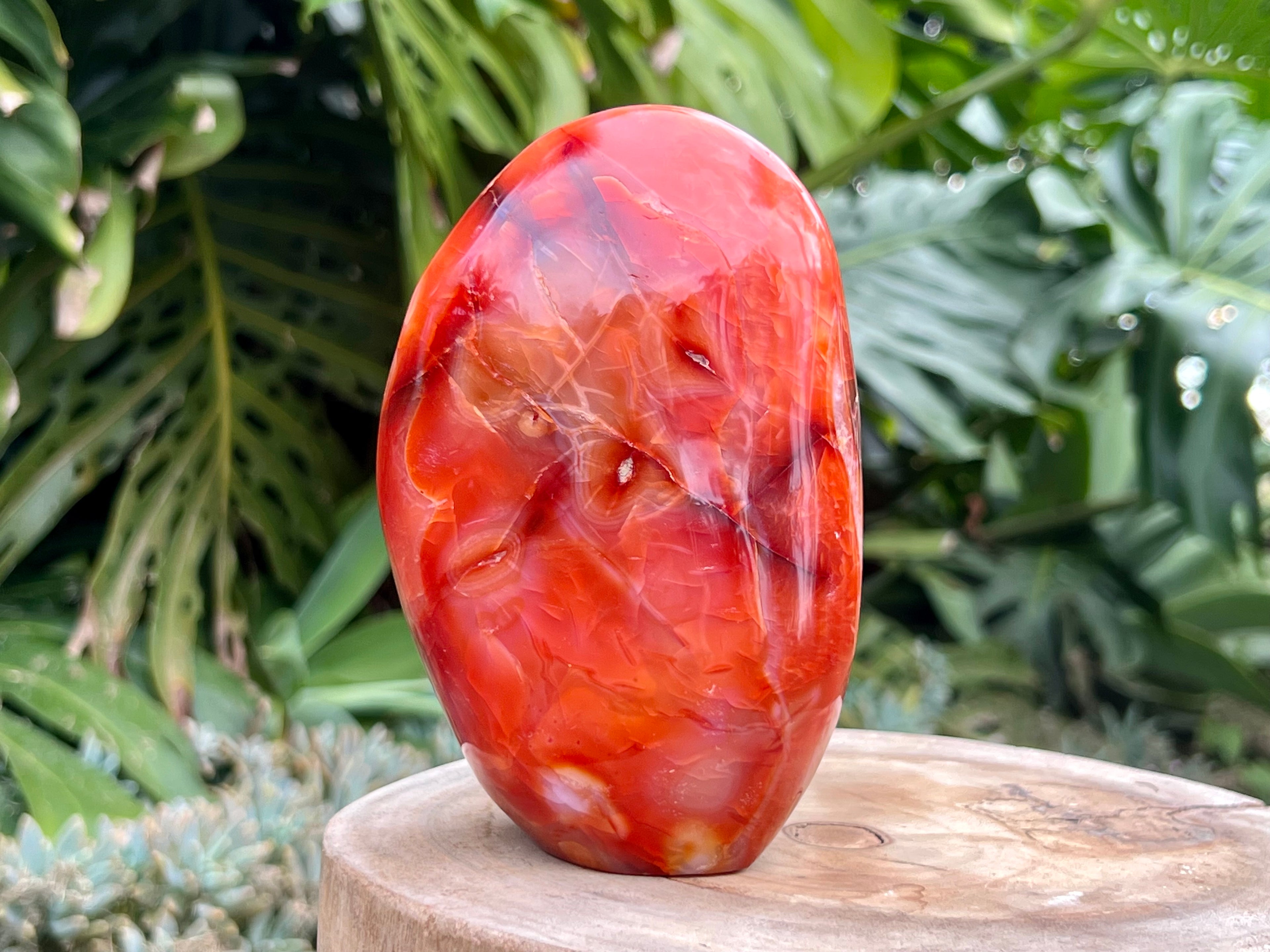 Carnelian freeform with rich orange and red swirls, polished to a glossy finish, radiating warmth, vitality, and creative energy