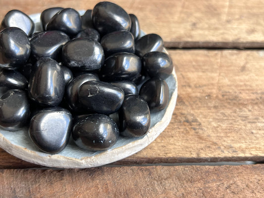 Shungite Tumbled Stone - Small
