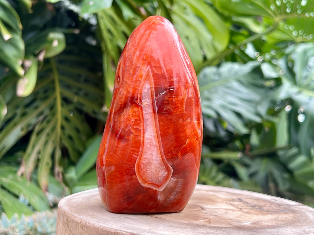 Carnelian freeform with rich orange and red swirls, polished to a glossy finish, radiating warmth, vitality, and creative energy