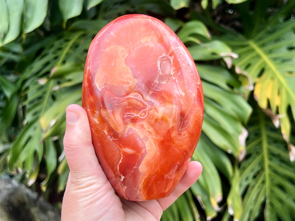 Carnelian freeform with rich orange and red swirls, polished to a glossy finish, radiating warmth, vitality, and creative energy. This photo is me holding the freeform to show you the size 