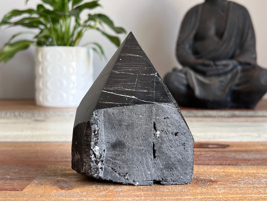 Black Tourmaline Rough/ Polished Point