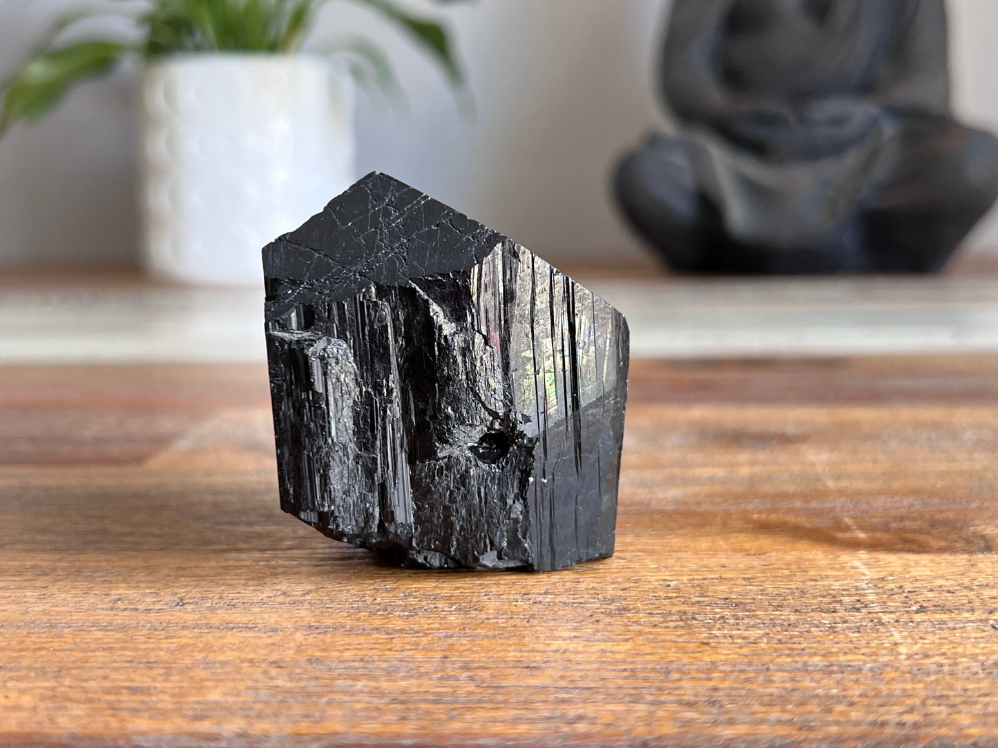 Black Tourmaline Rough/ Polished Point
