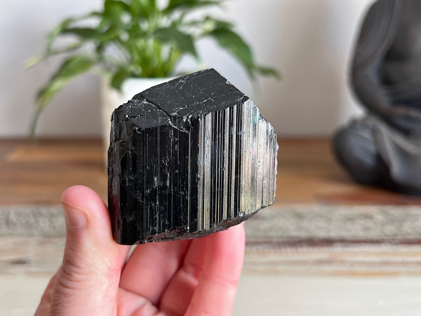 Black Tourmaline Rough/ Polished Point