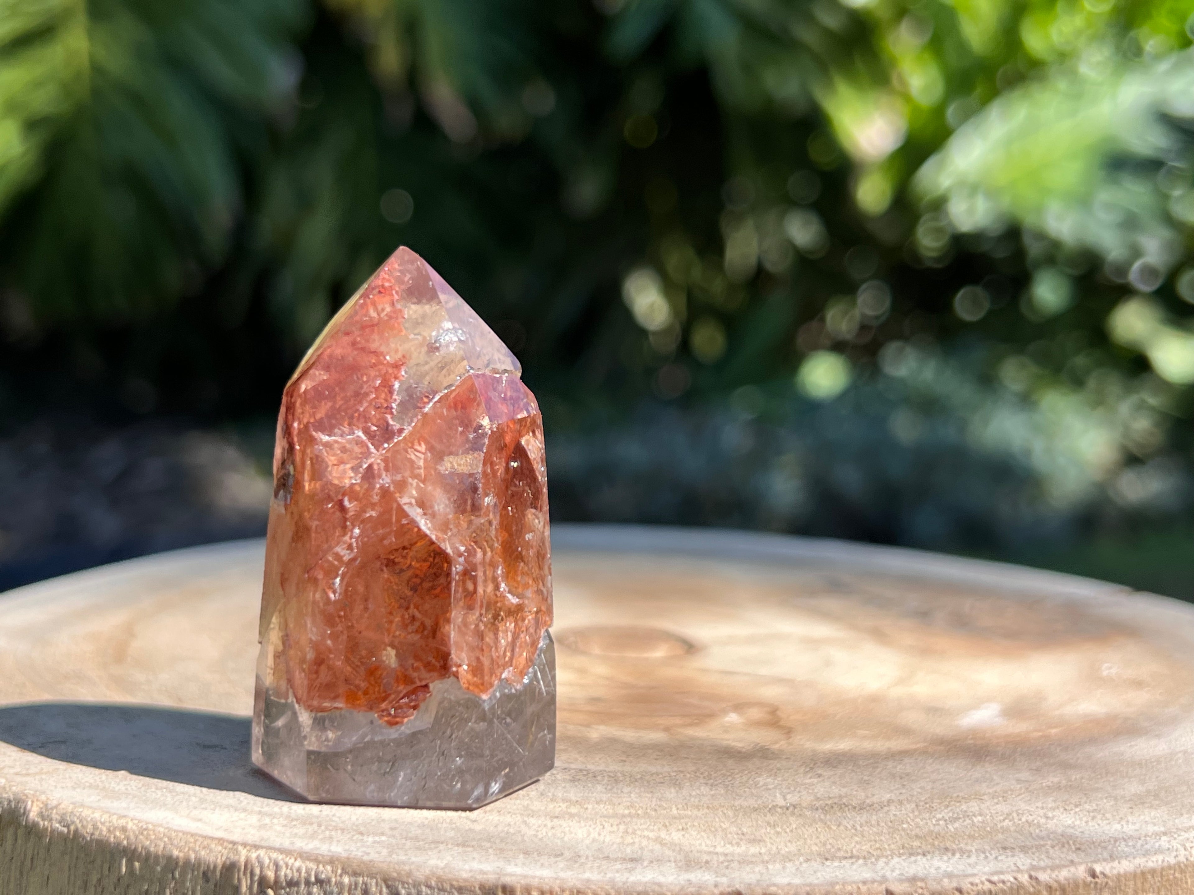This stunning clear quartz point is full of inclusions 