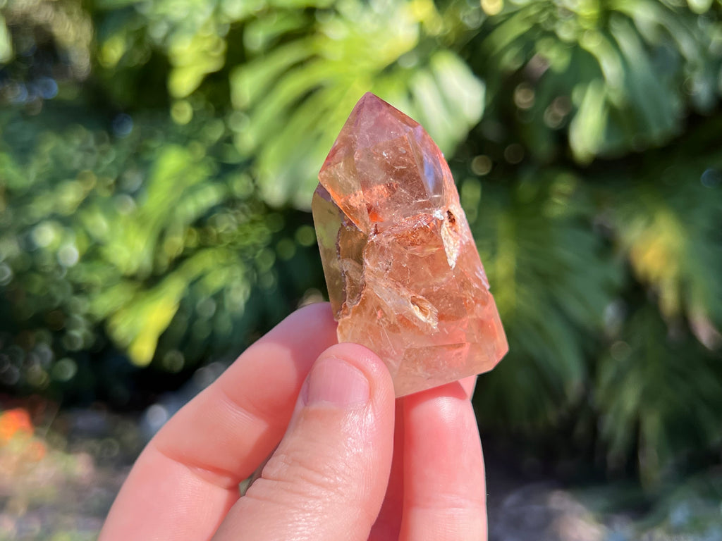The clear quartz point in my hand as a size guide 