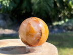 Golden Healer Quartz with warm golden hues and translucent clarity, known for its powerful healing energy and connection to divine light