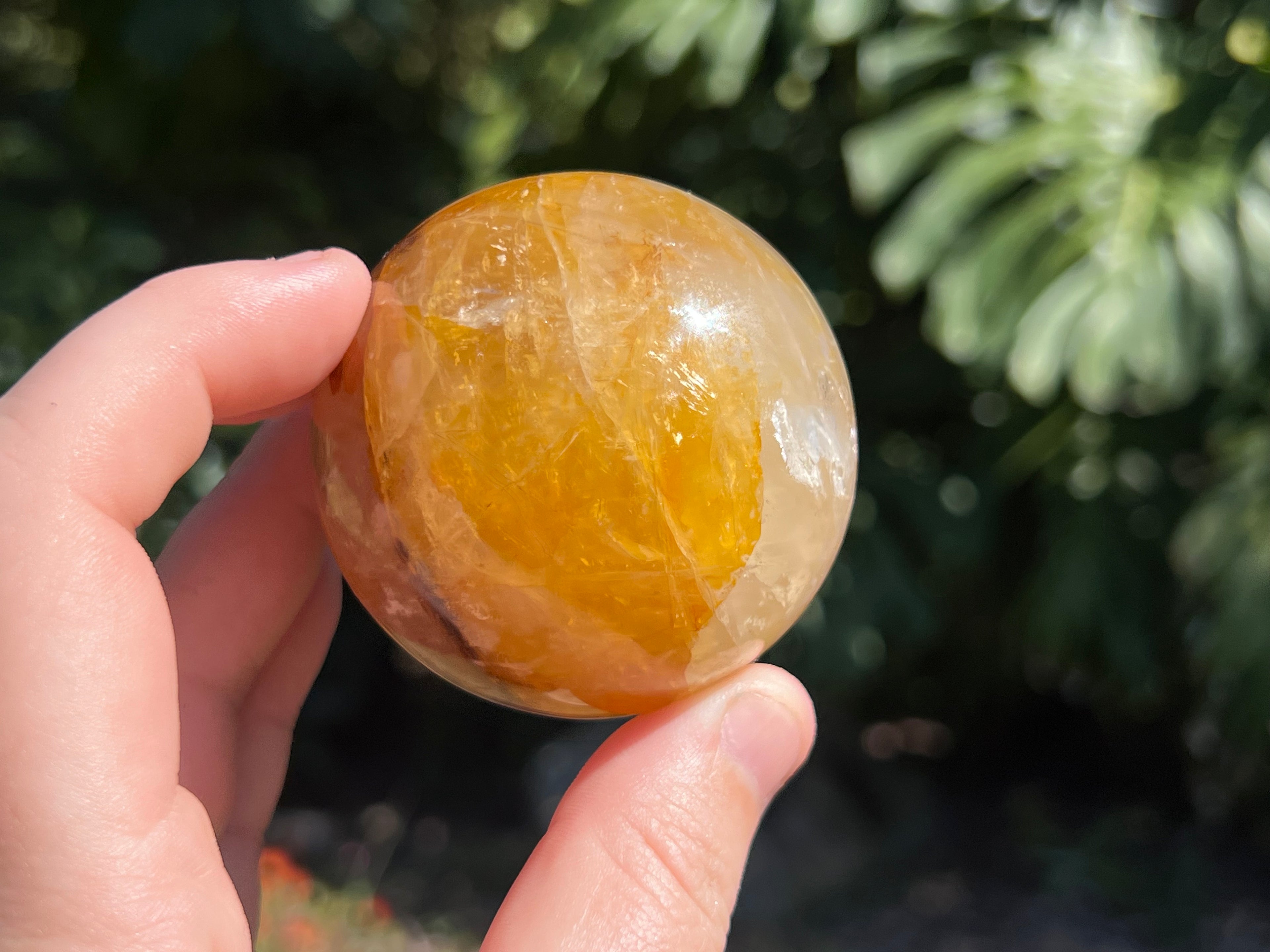 Golden Healer Quartz in my hand as a size guide