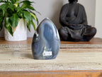 Orca Agate Freeform
