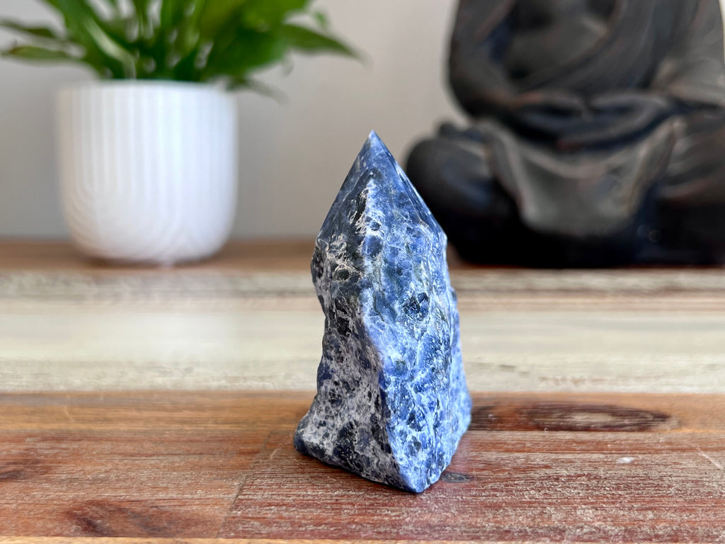 Sodalite Rough/ Polished Point