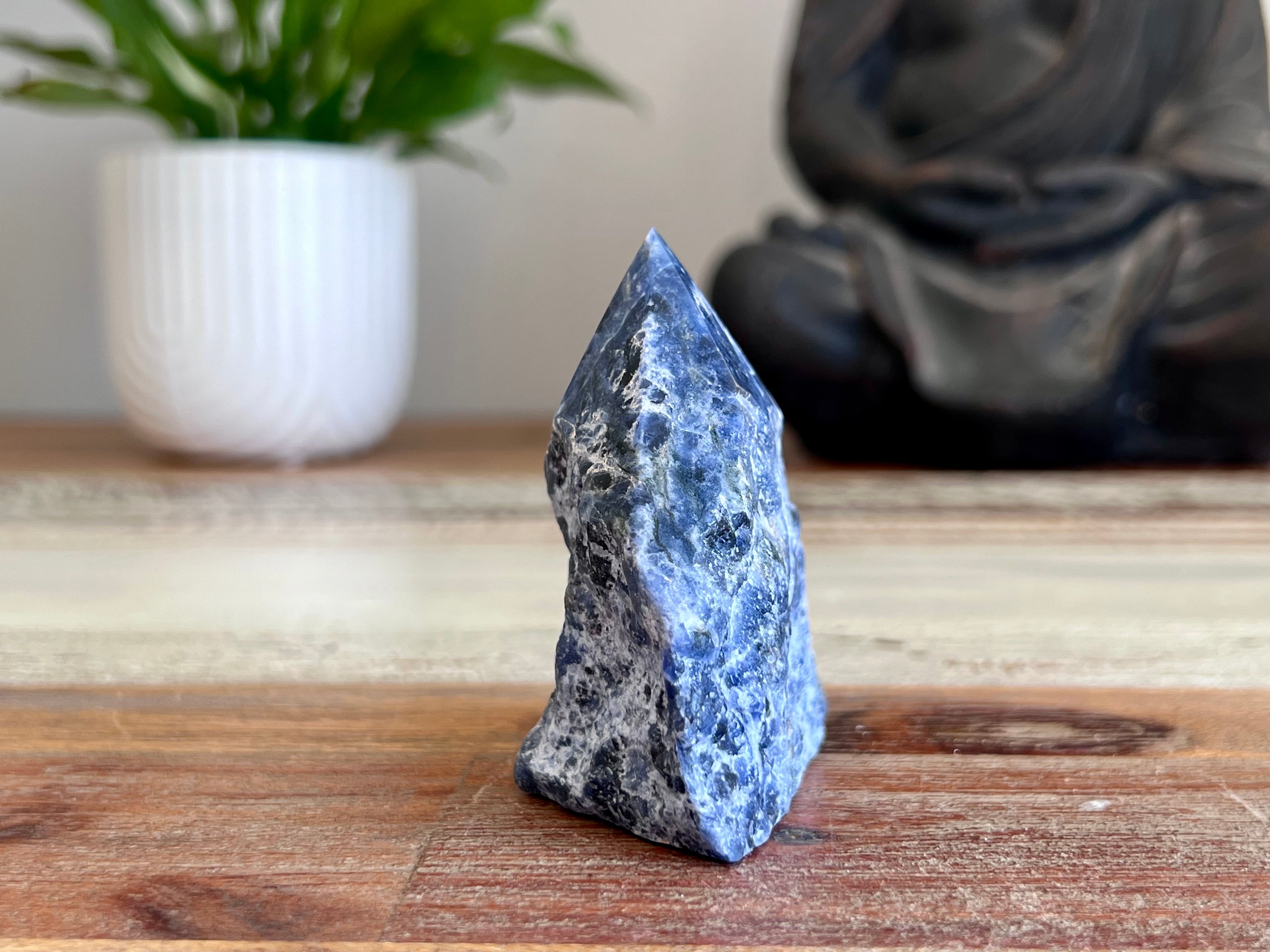 Sodalite Rough/ Polished Point