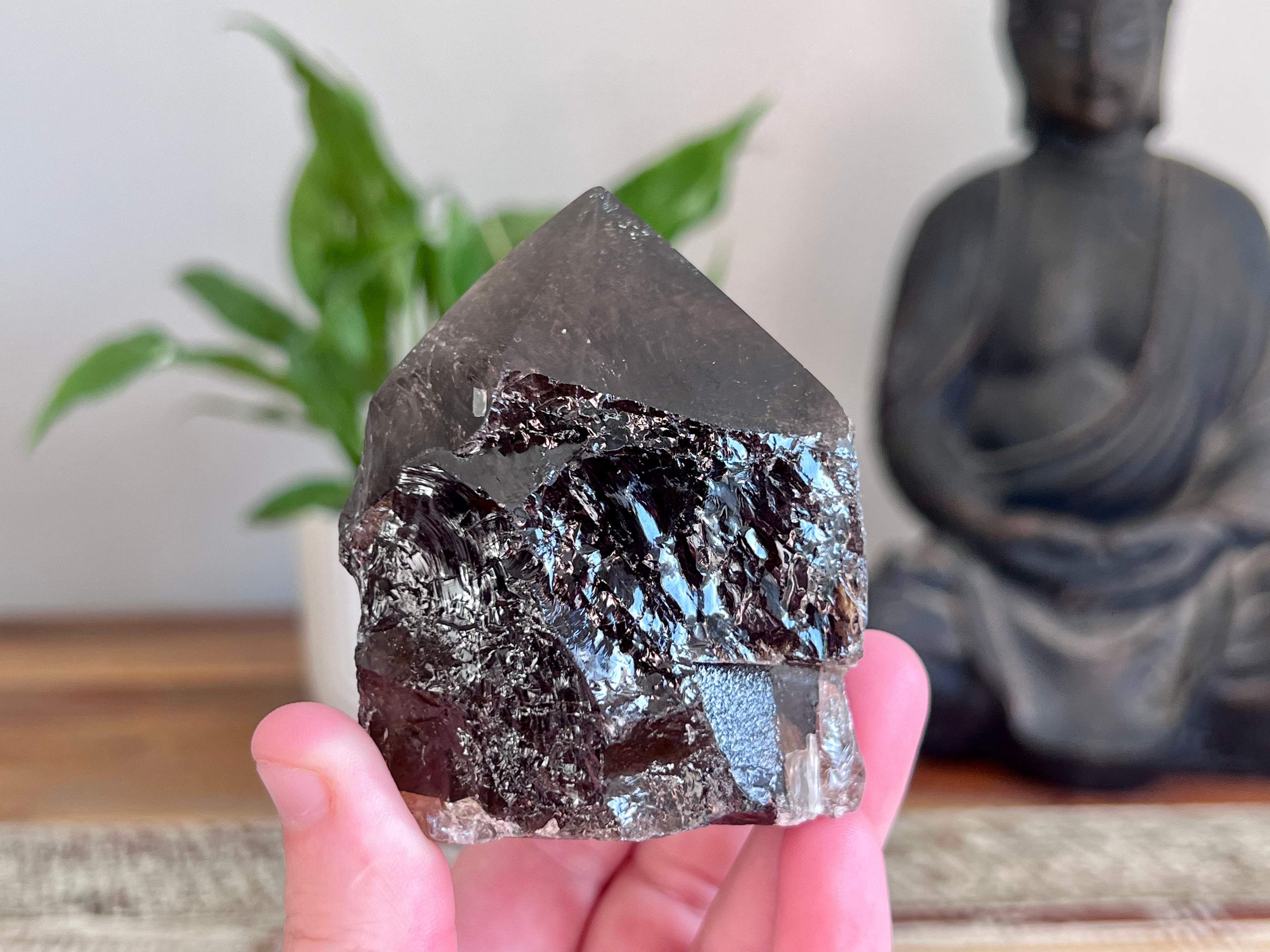 Smokey Quartz Rough/ Polished Point