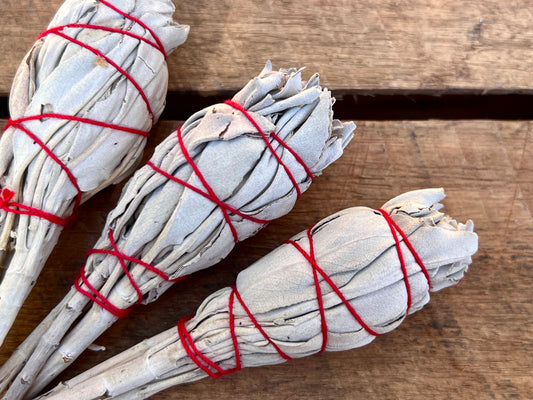 California White Sage Smudge Stick - Mini Torch