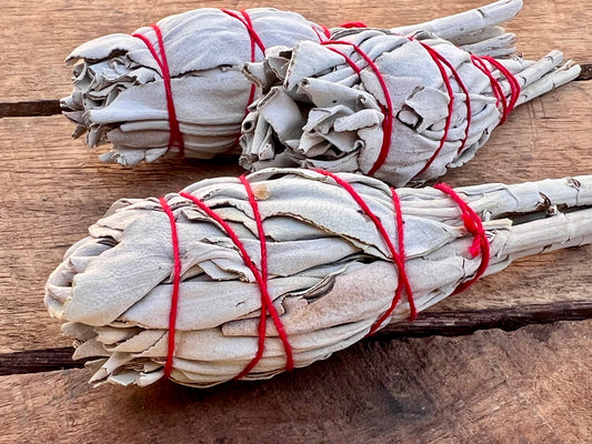 California White Sage Smudge Stick - Mini Torch