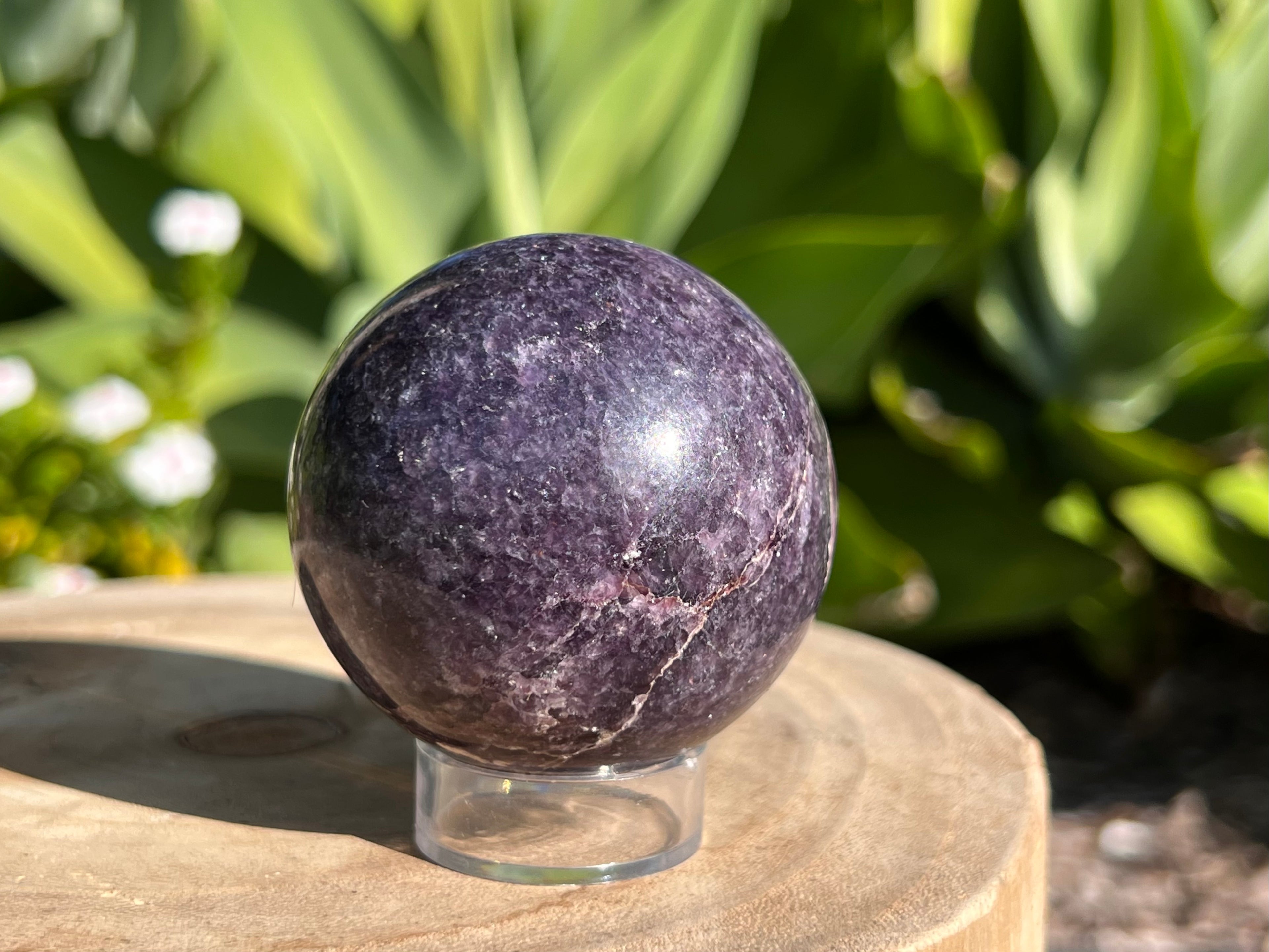 Polished Lepidolite crystal with shimmering lilac and lavender tones, known for its calming energy and support during emotional healing
