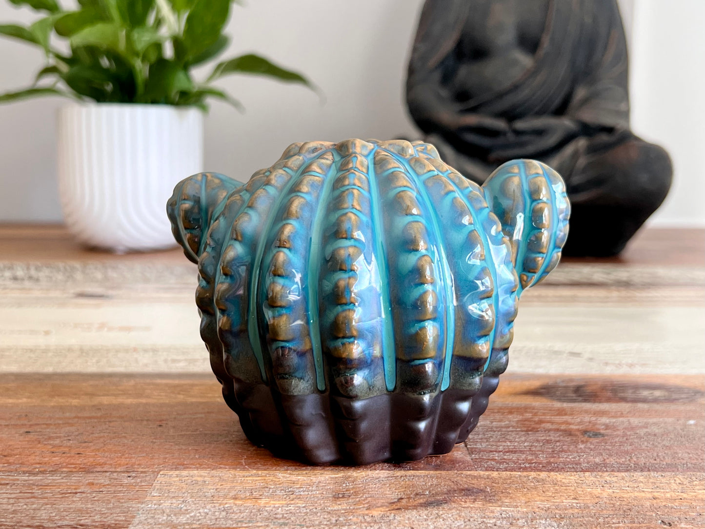 Cactus Back Flow Incense Burner