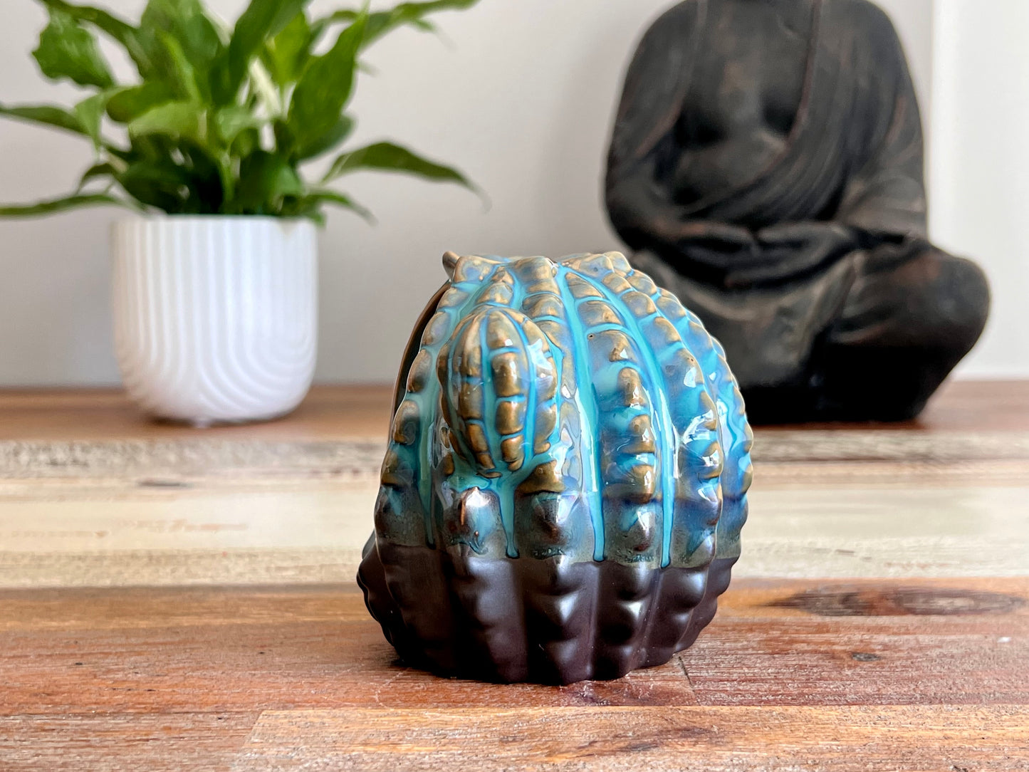 Cactus Back Flow Incense Burner