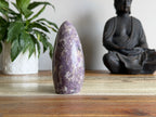 Lepidolite Freeform