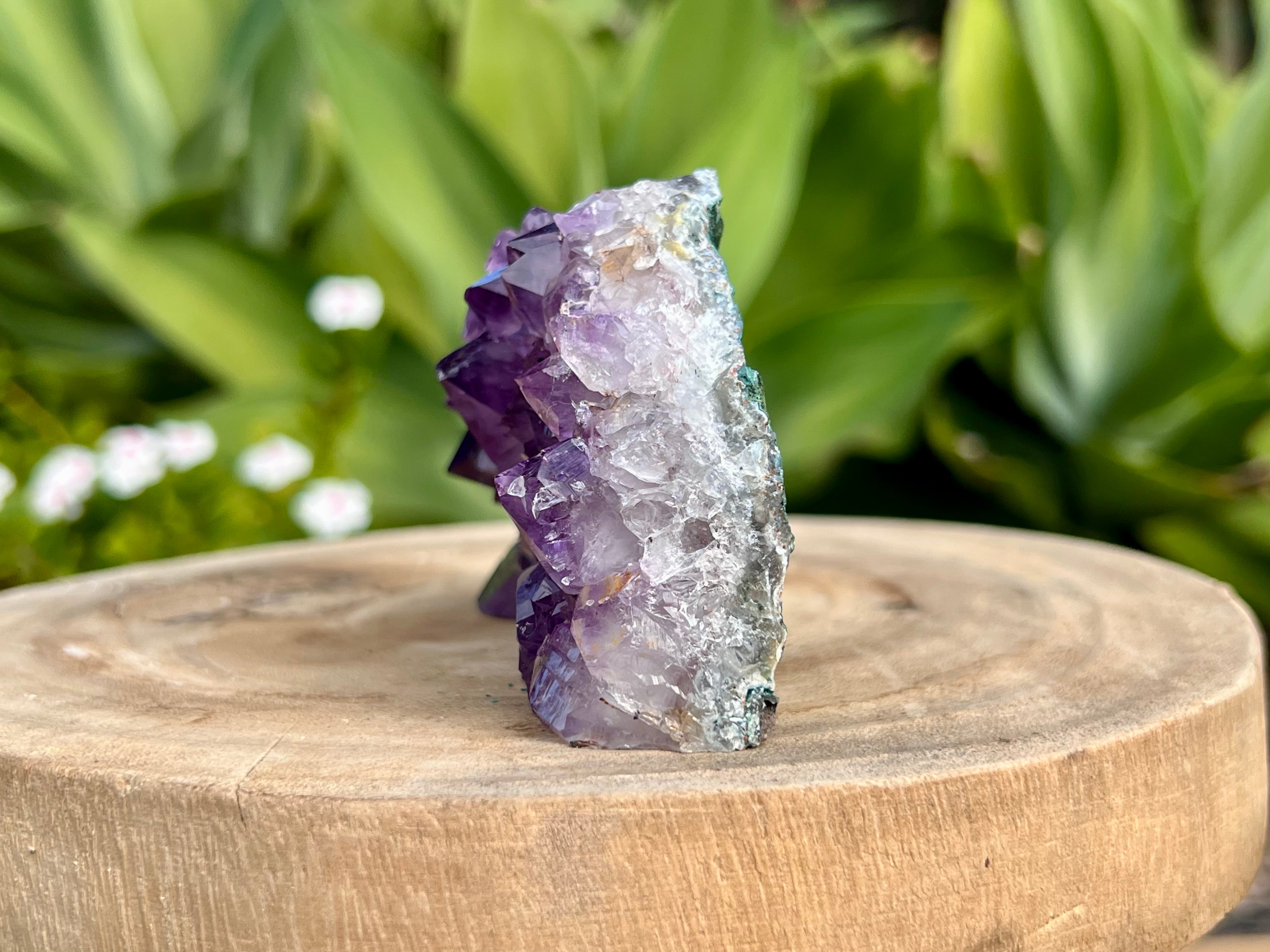 Amethyst cluster with chunky points. amethyst for spiritual protection and intuition. Natural Crystal Cluster. This is another side view of the white quartz band 