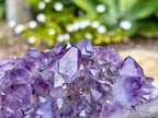 Amethyst cluster with chunky points. amethyst for spiritual protection and intuition. Natural Crystal Cluster. This is a close up of the stunning points 