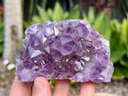 Amethyst cluster with chunky points. amethyst for spiritual protection and intuition. Natural Crystal Cluster. This photo is in my hand as a size reference 