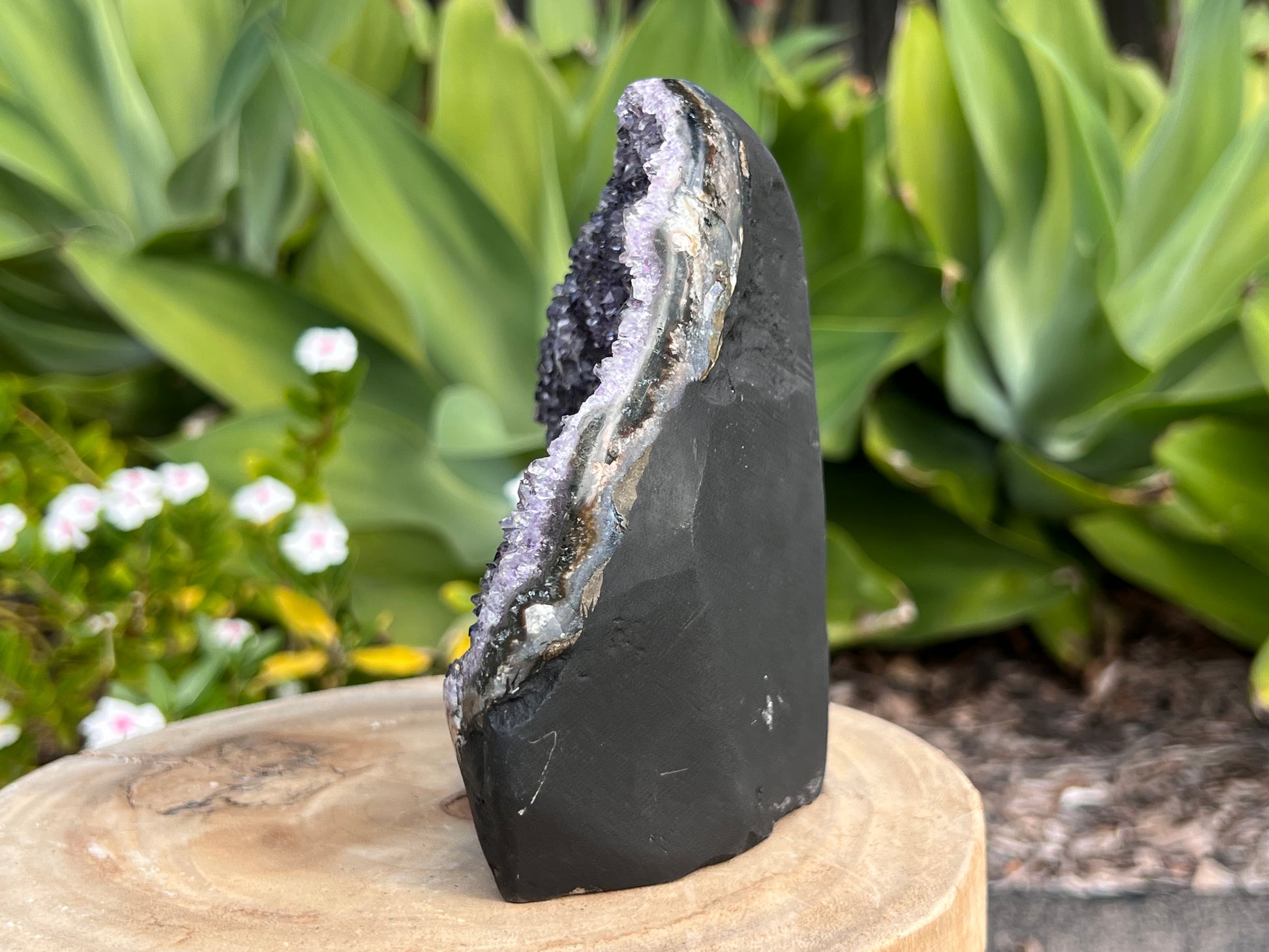 Amethyst cluster with polished edges. amethyst for spiritual protection and intuition. Natural Crystal Cluster 