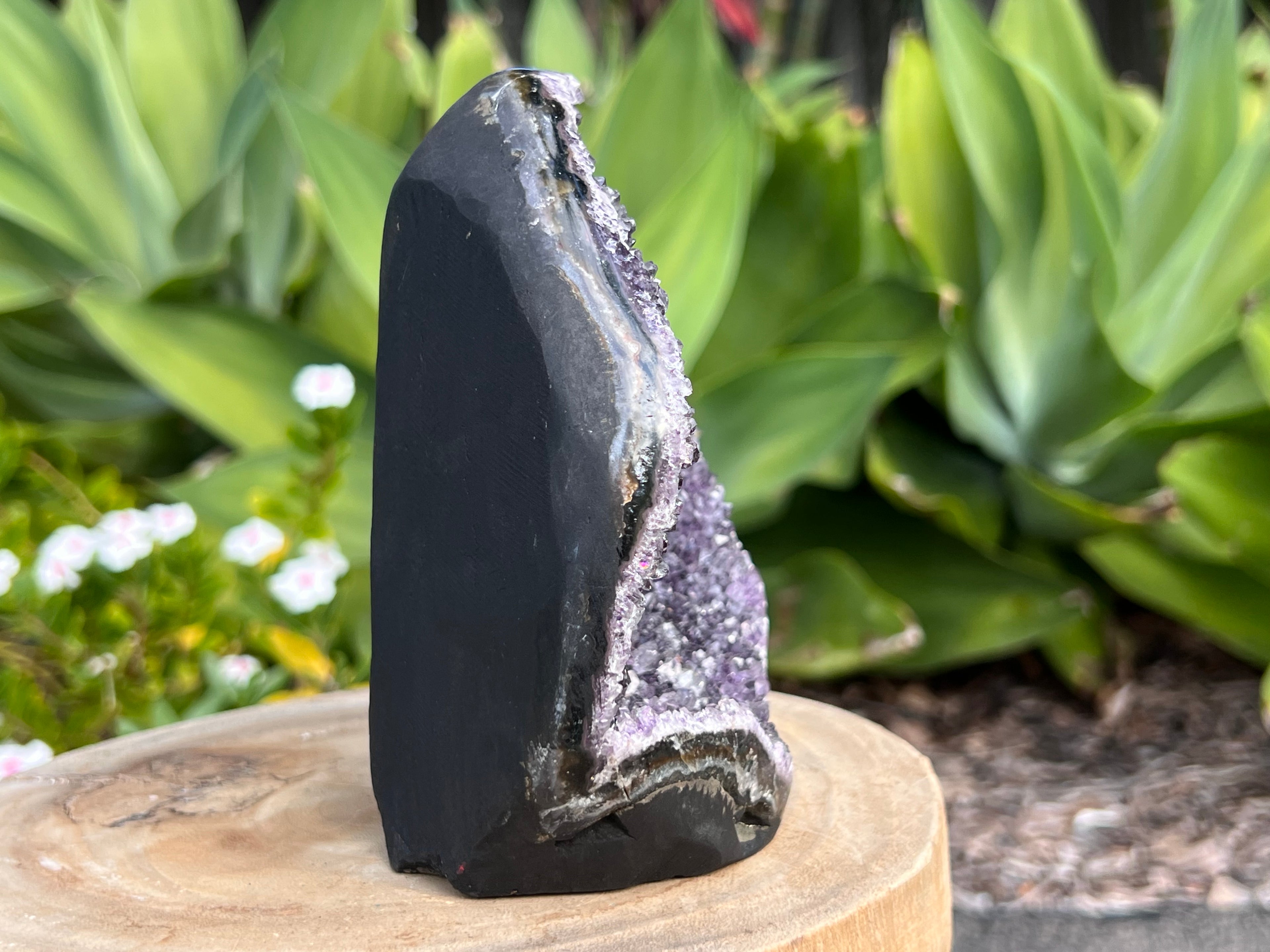 Amethyst cluster with polished edges. amethyst for spiritual protection and intuition. Natural Crystal Cluster 