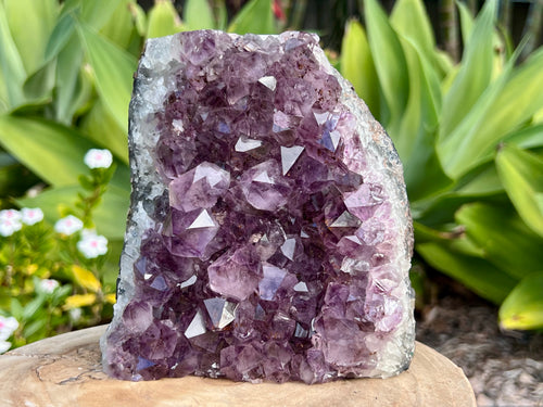 Amethyst cluster with chunky points. amethyst for spiritual protection and intuition. Natural Crystal Cluster 