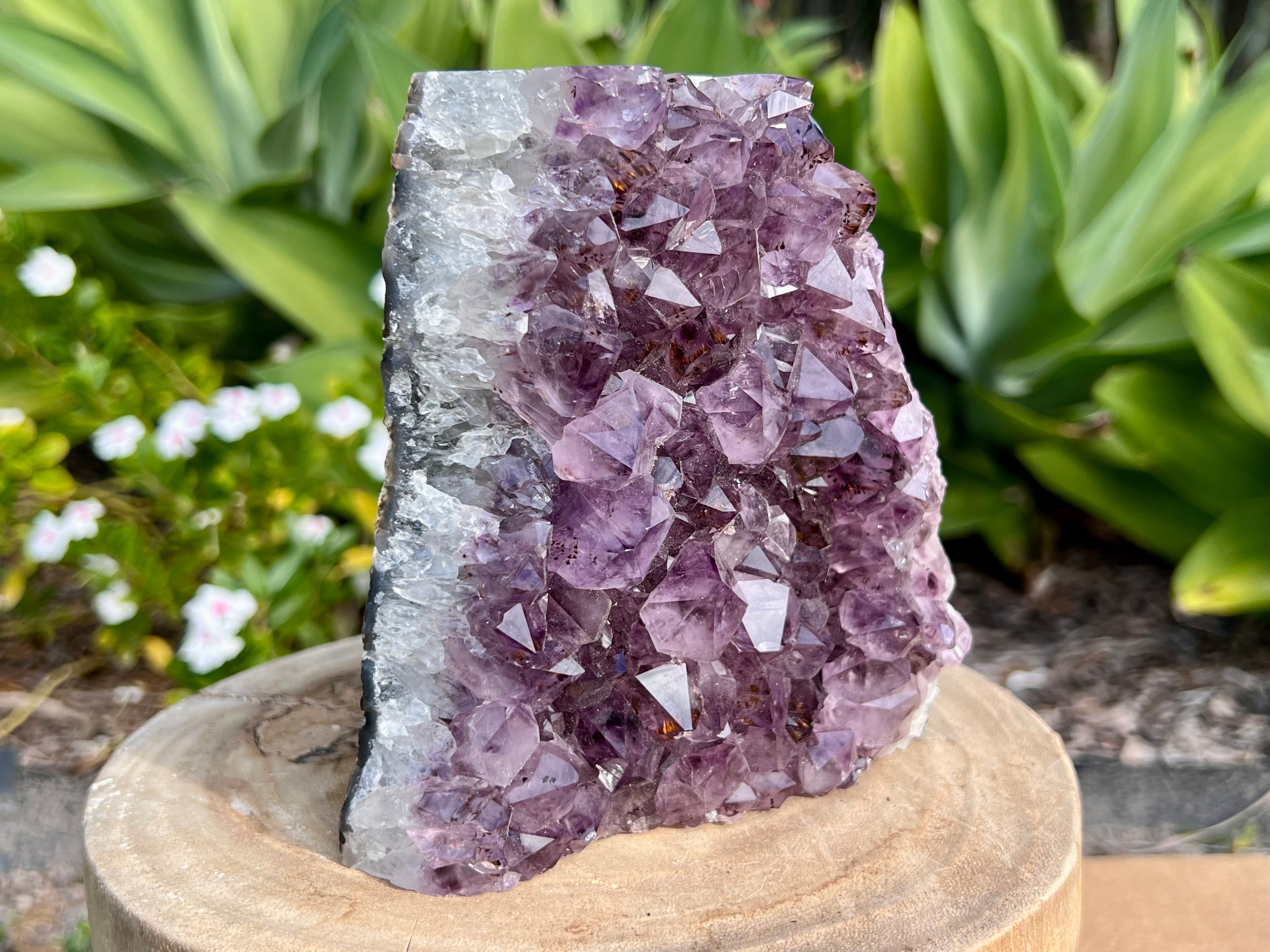 Amethyst cluster with chunky points. amethyst for spiritual protection and intuition. Natural Crystal Cluster. This is a zoomed out photo of the inclusions in the points 