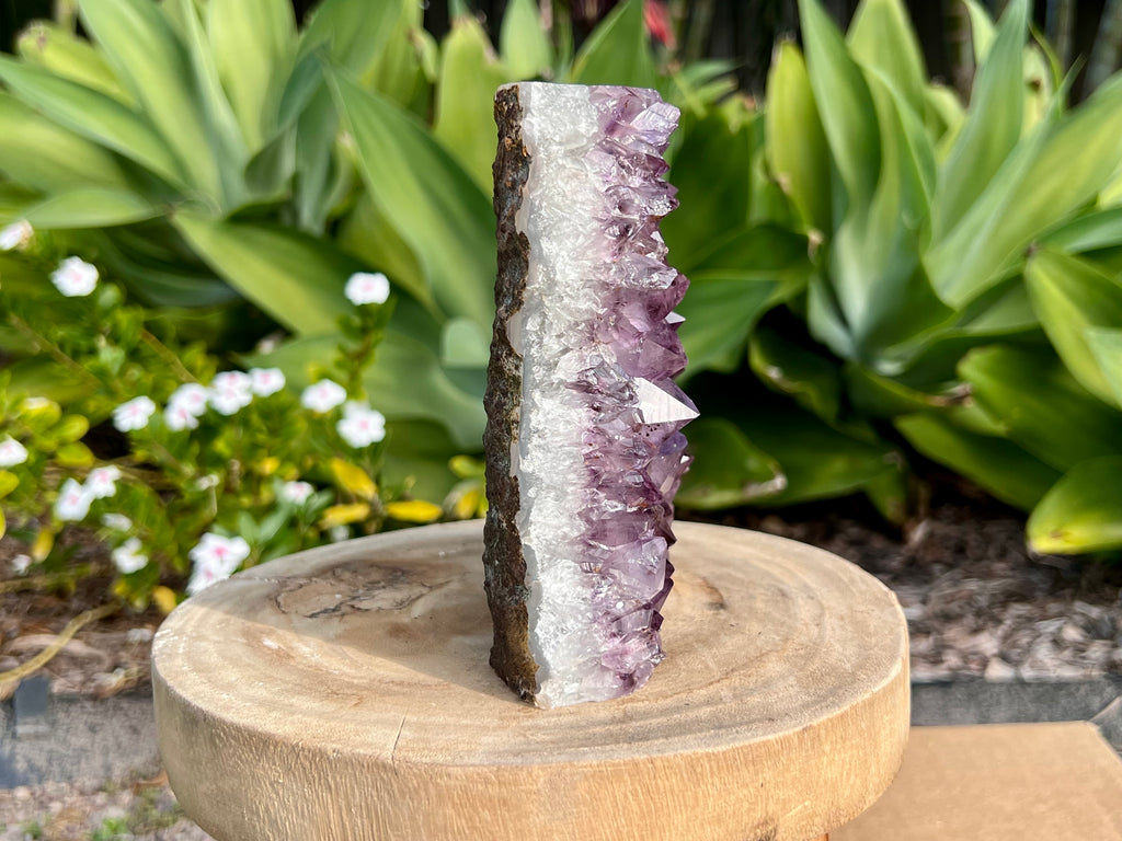 Amethyst cluster with chunky points. amethyst for spiritual protection and intuition. Natural Crystal Cluster side view. You can see the beautiful band of white quartz before the chunky amethyst points 