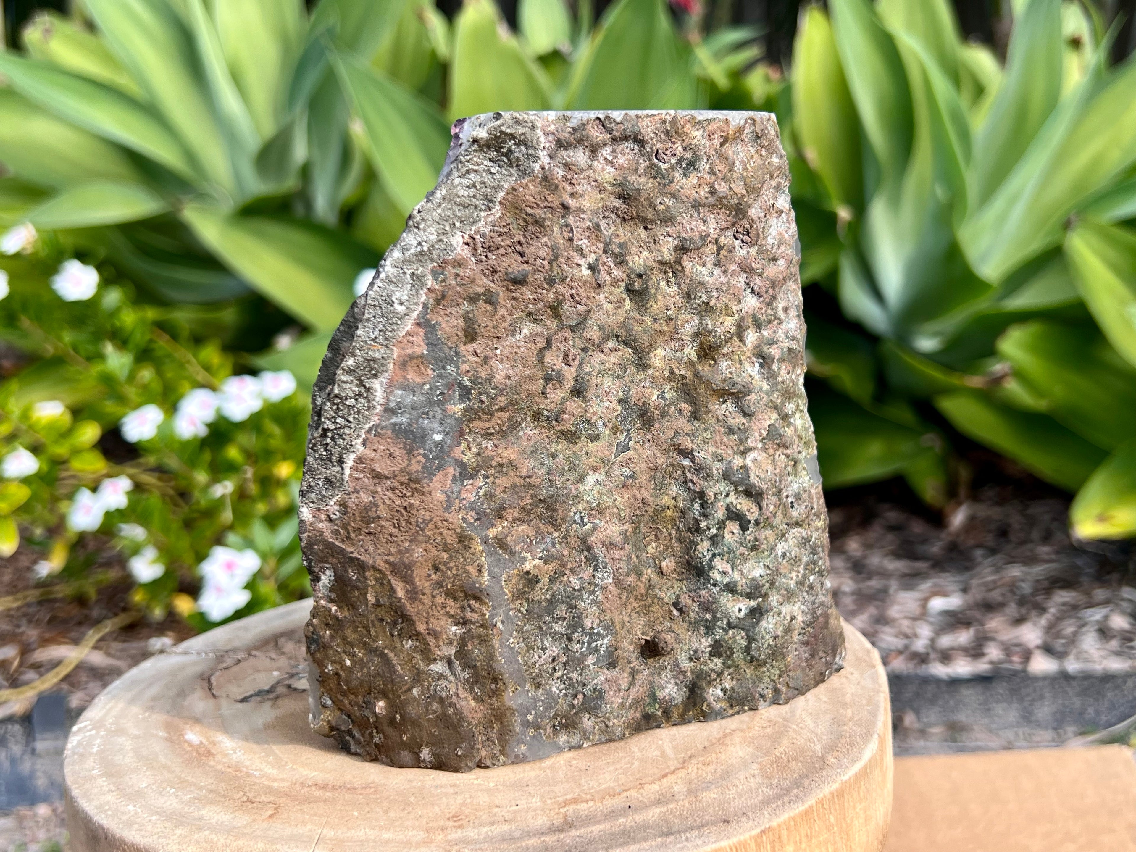 Amethyst cluster with chunky points. amethyst for spiritual protection and intuition. Natural Crystal Cluster. This photo is showing the natural rock back 