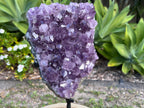 Amethyst cluster on custom metal stand. amethyst for spiritual protection and intuition. Natural Crystal Cluster 