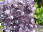 Amethyst cluster on custom metal stand. amethyst for spiritual protection and intuition. Natural Crystal Cluster 