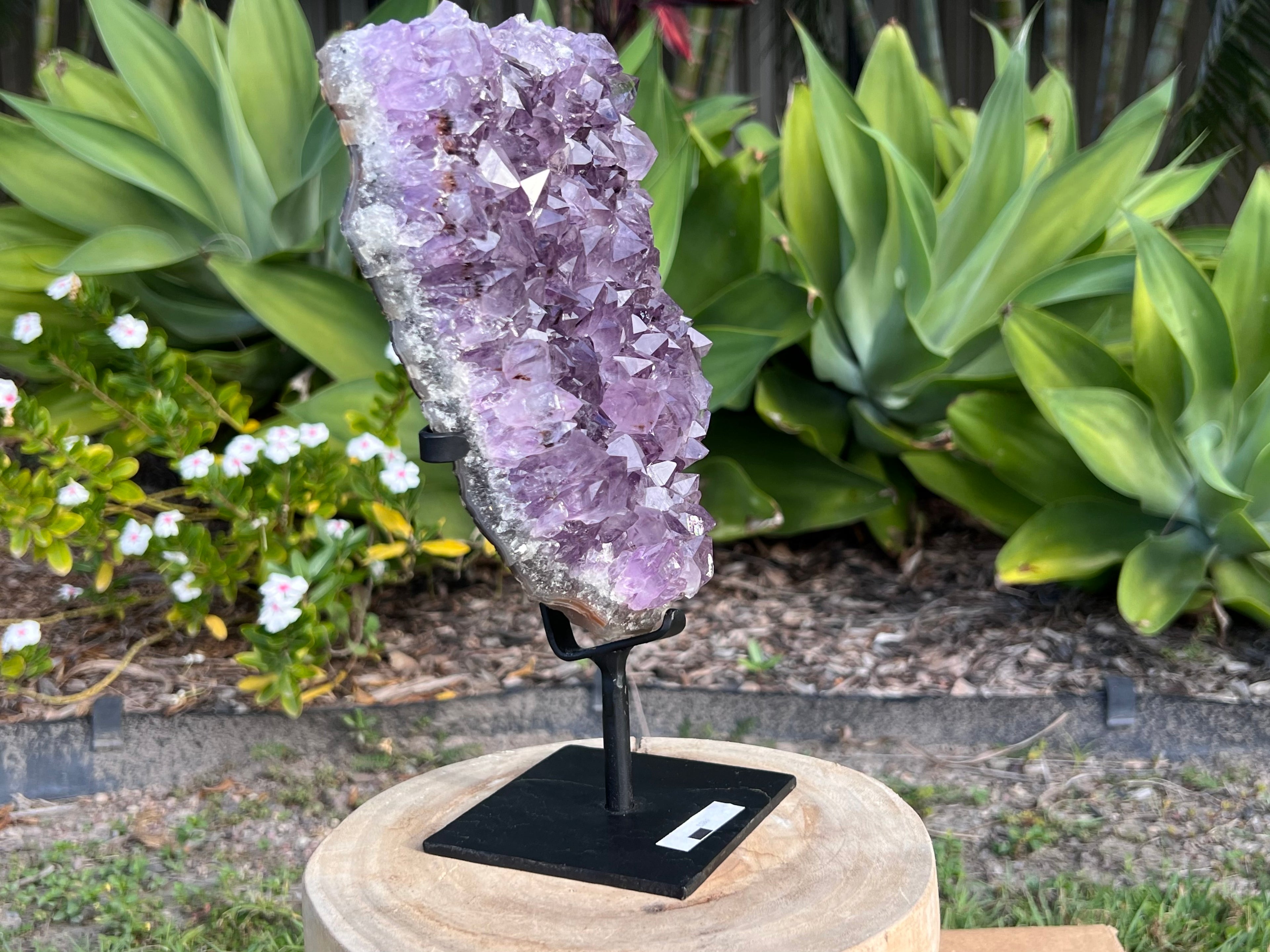Amethyst cluster on custom metal stand. amethyst for spiritual protection and intuition. Natural Crystal Cluster 