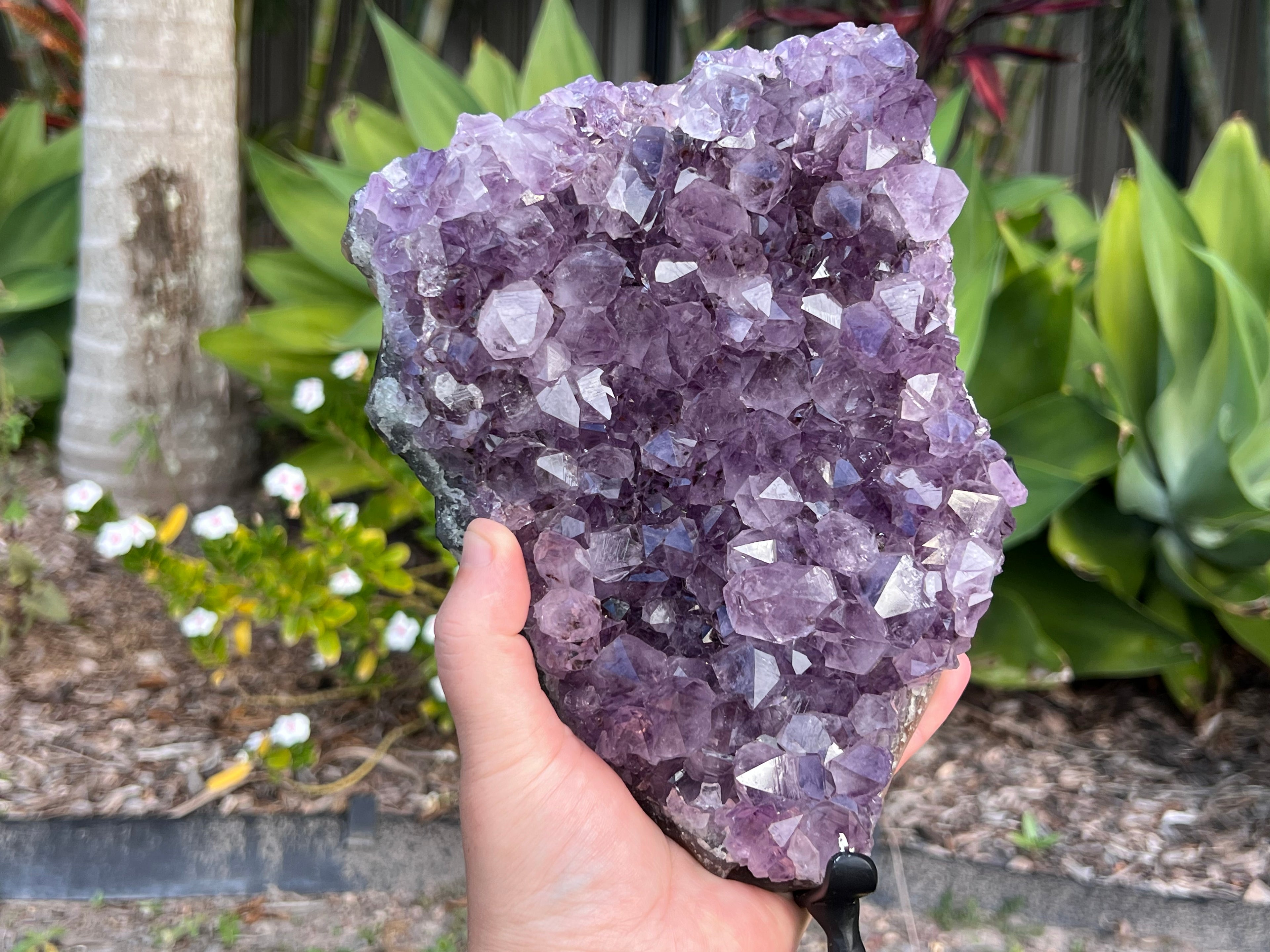 Amethyst cluster on custom metal stand. amethyst for spiritual protection and intuition. Natural Crystal Cluster 