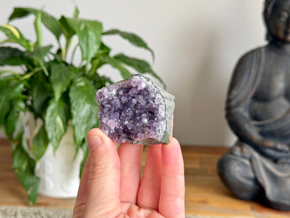 Amethyst Cluster