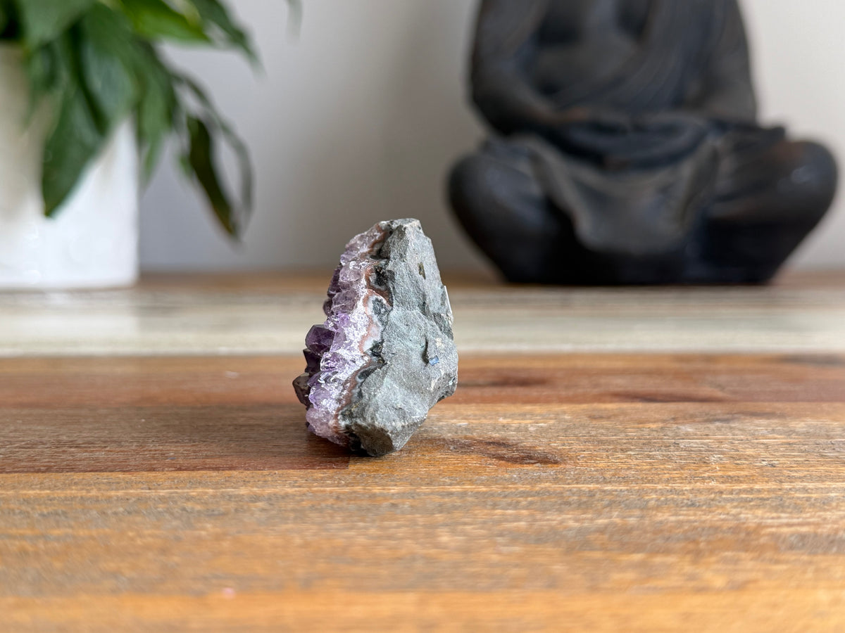 Amethyst Cluster