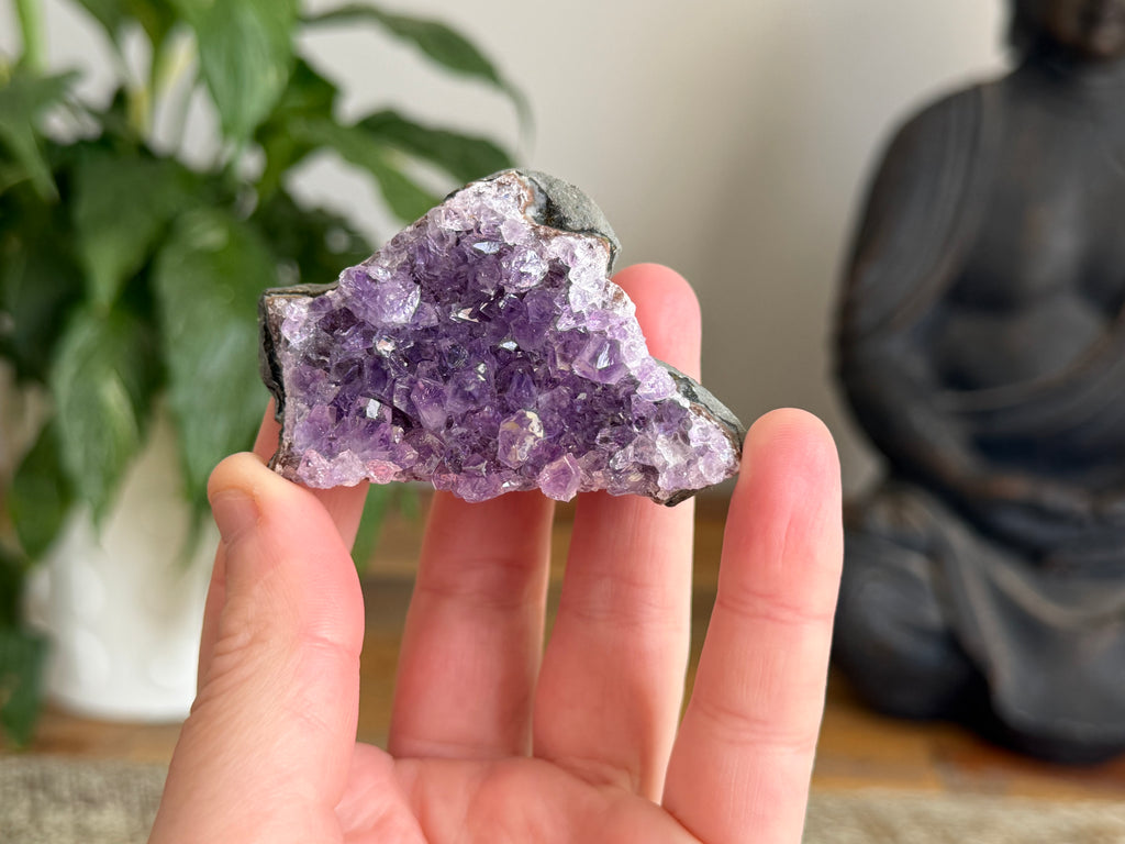 Amethyst Cluster