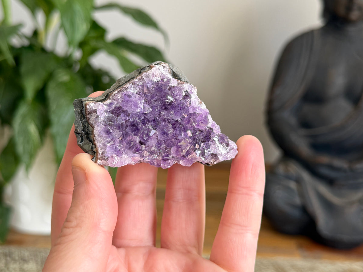 Amethyst Cluster