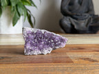 Amethyst Cluster
