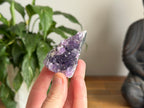 Amethyst Cluster