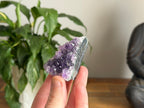 Amethyst Cluster
