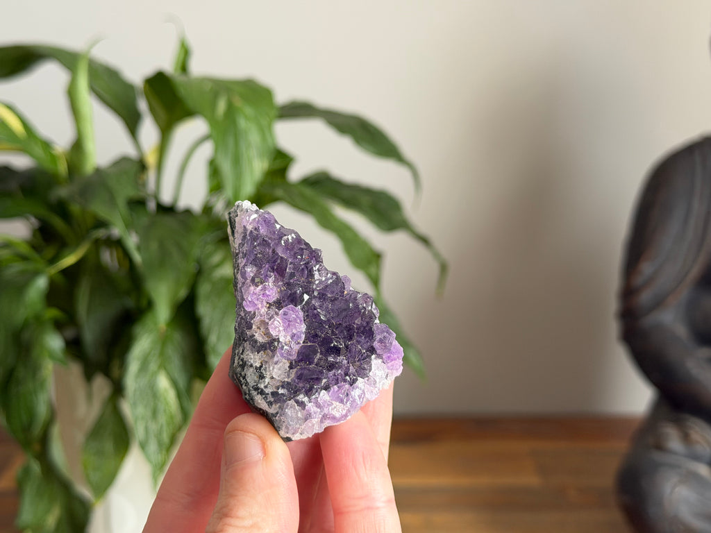 Amethyst Cluster