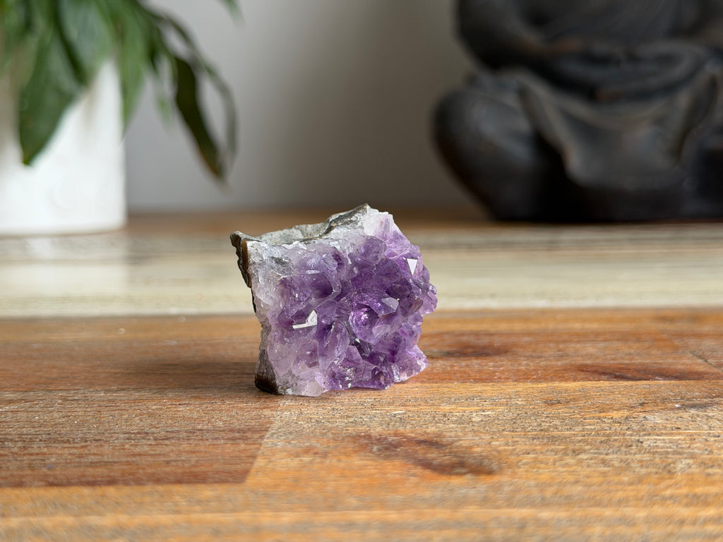 Amethyst Cluster