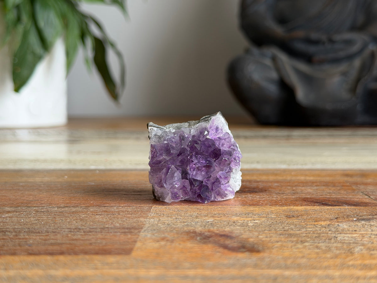 Amethyst Cluster